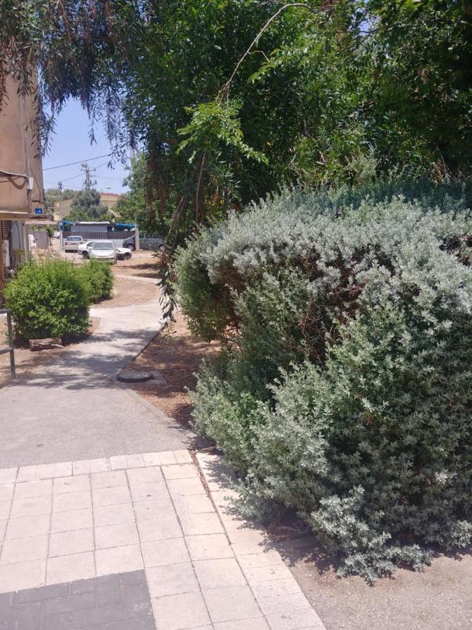Apartment For Relaxing And For Health Haifa Exteriör bild
